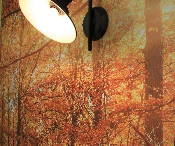 Hotel Bivius Hotel Restaurant Luxembourg 3*